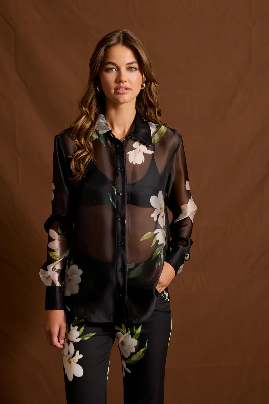 eikona_2025-10-03_105700712.png